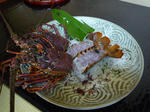 P1000079.JPG
