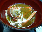 P1000091.JPG
