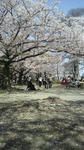 P1000175.jpg