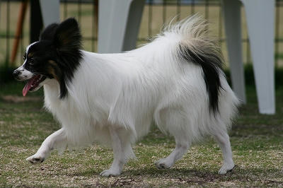 6133.jpg
