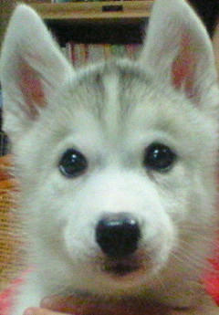 200810051817000.jpg