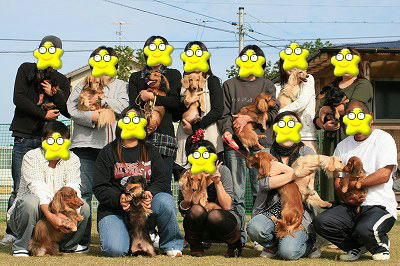 imageshuugou.jpg