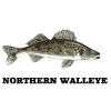 walleye.jpg
