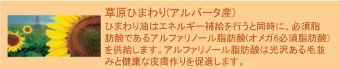 himawari.jpg