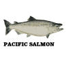 pf-salmon.jpg