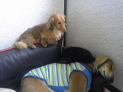 100426_153904.jpg