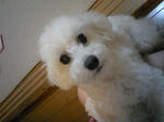 SH350016.jpg