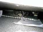 SH350042.jpg