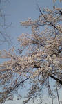 PA0_0108.JPG