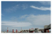 IMG_4513blog.jpg