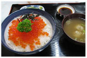IMG_4590blog.jpg