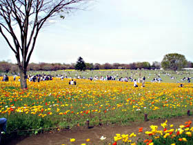 20071205.jpg