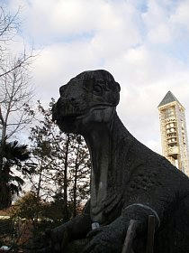 20080103_05.jpg