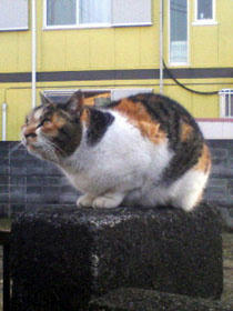 20080105_00.jpg
