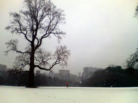 20080123_01.jpg