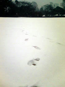 20080123_02.jpg