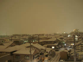 20080209_02.jpg