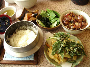 20080217_02.jpg