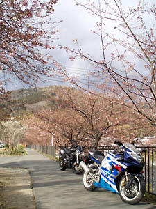 20080217_03.jpg