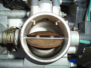 20080506_04.jpg