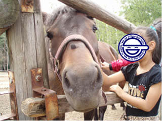 20080816_05.jpg