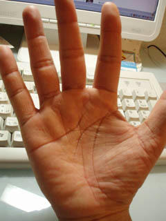 20080828.jpg