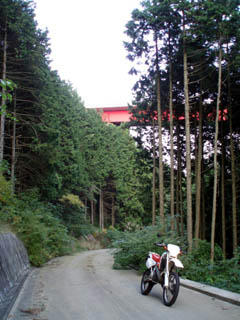 20081004_02.jpg