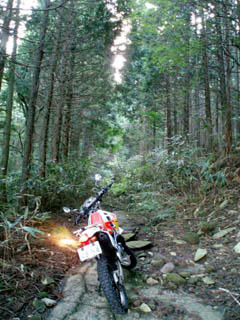 20081004_03.jpg
