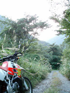 20081004_04.jpg