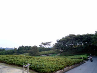 20081004_06.jpg