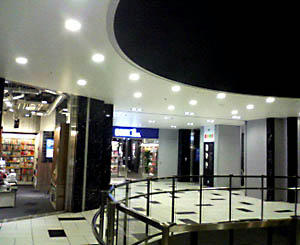 20090128.jpg
