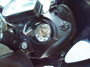 20090201_03.jpg
