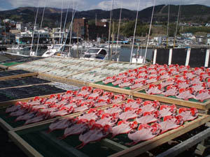 20090315_01.jpg