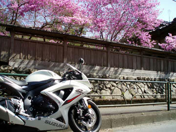 20090411_05.jpg
