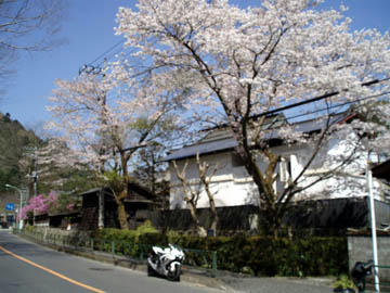 20090411_06.jpg