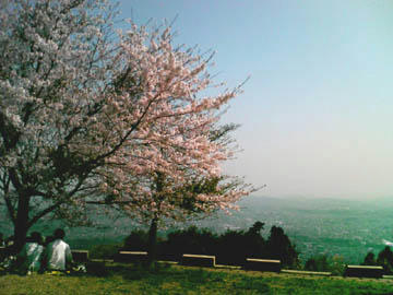 20090411_13.jpg