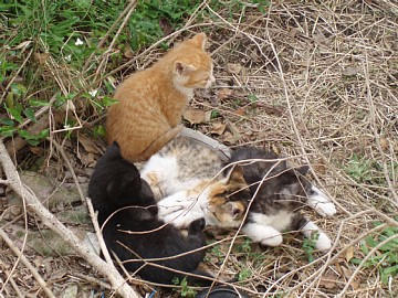 20090416.jpg