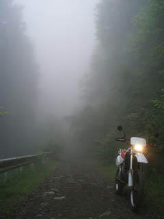 20090619_03.jpg