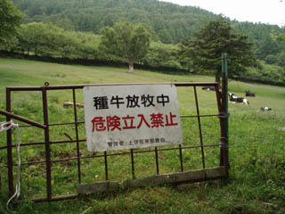 20090705_08.jpg