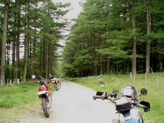 20090705_11.jpg