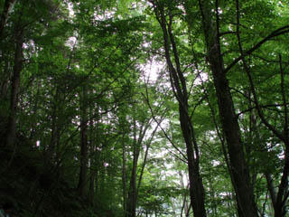20090705_20.jpg