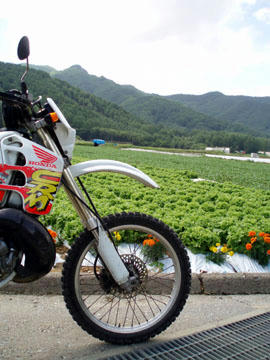 20090721_01.jpg