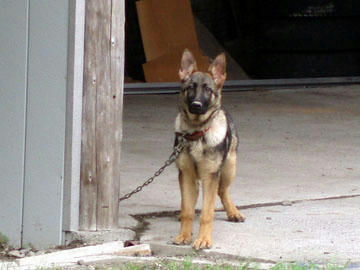 20090809_04.jpg