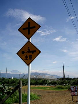 20090811_02.jpg