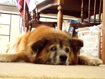20090815_00.jpg