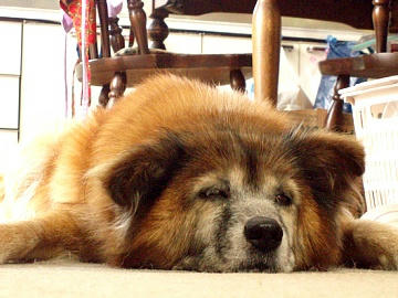 20090815_01.jpg