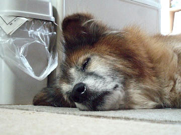 20090815_02.jpg
