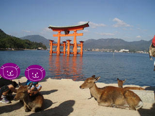 20090920_08.jpg