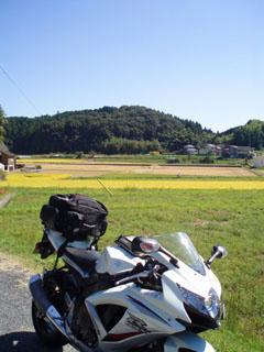20090920_15.jpg