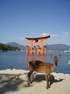 20090920_23.jpg